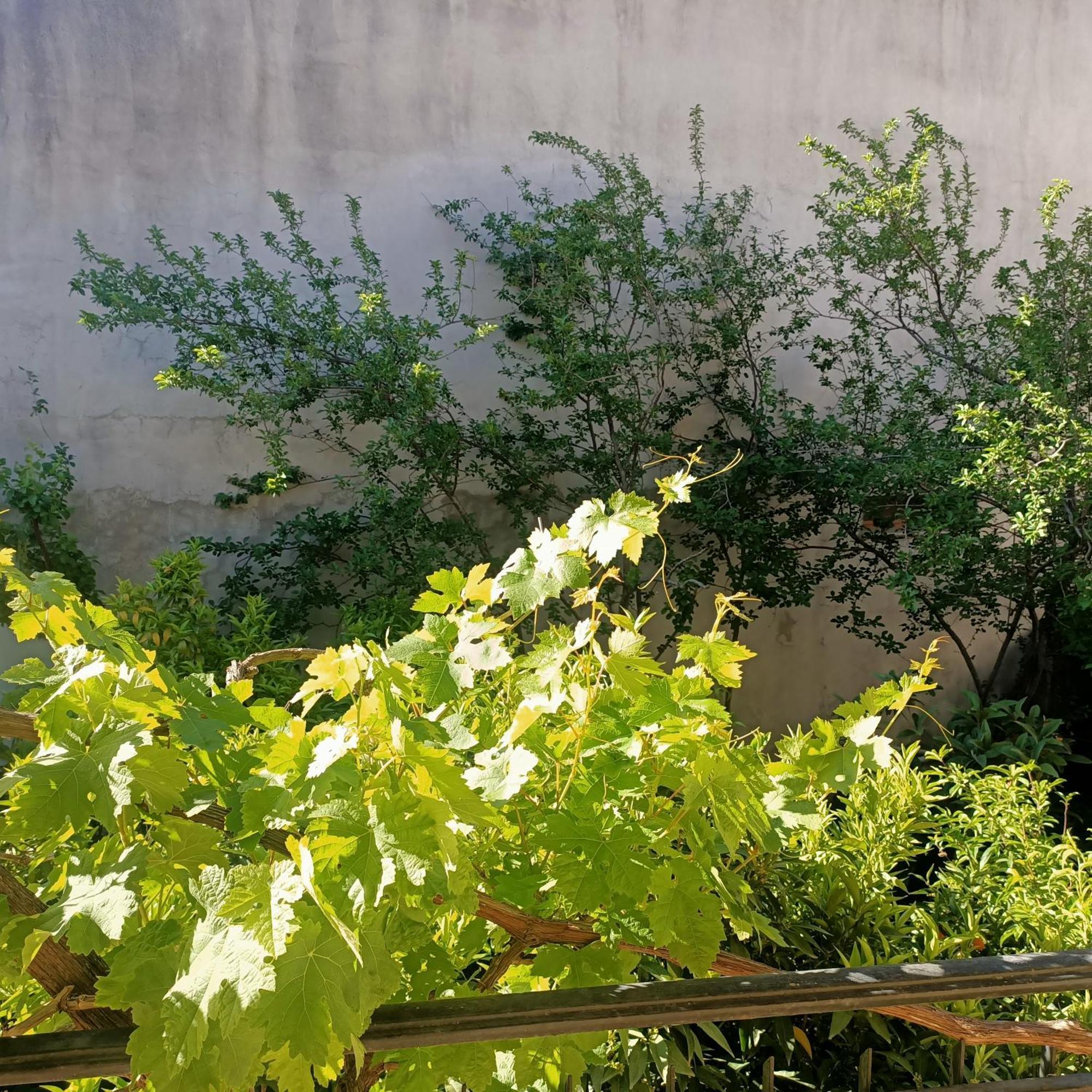 Appartamento Janas House Bari Sardo Esterno foto